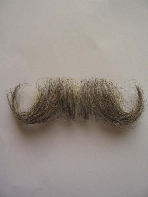 Moustache modèle ref 0302