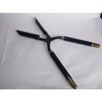 Coupe et mise en forme favorits ou bouc+moustache