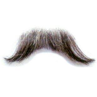 Moustache pointes extérieures